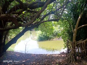 Adyar Eco-friendly park - Field Trip for Students - RISHS International School, Chennai