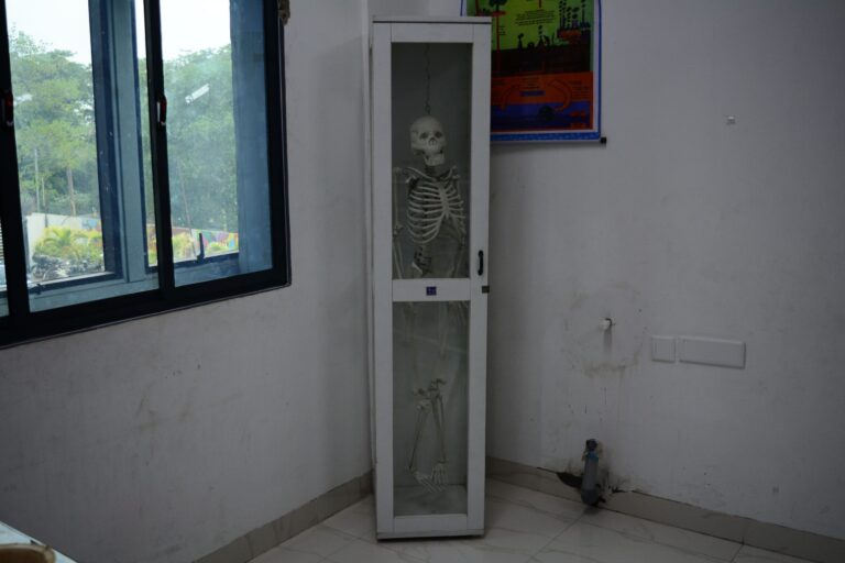 Skeleton For Biology Lab in RISHS International CBSE School Mangadu