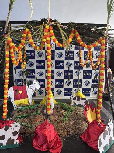 rishs-pongal-celebration-2025-4