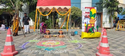 rishs-pongal-celebration-2025-5